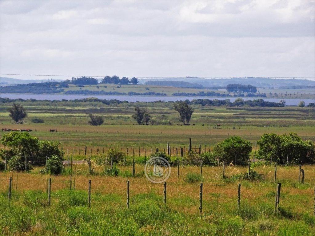 Casa De Campo Cerca Del Cabo Villa Rincón de los Oliveras Exteriör bild