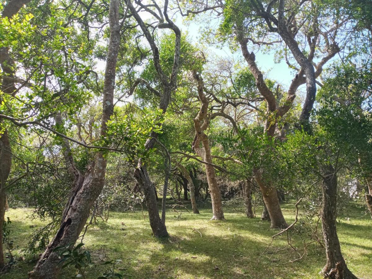 Casa De Campo Cerca Del Cabo Villa Rincón de los Oliveras Exteriör bild